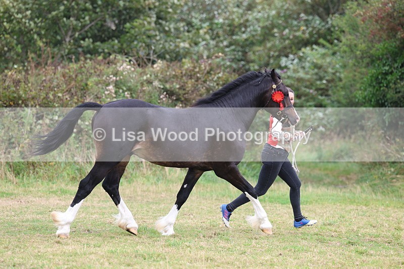 3E7A4280 - Class 15: Two Year Olds