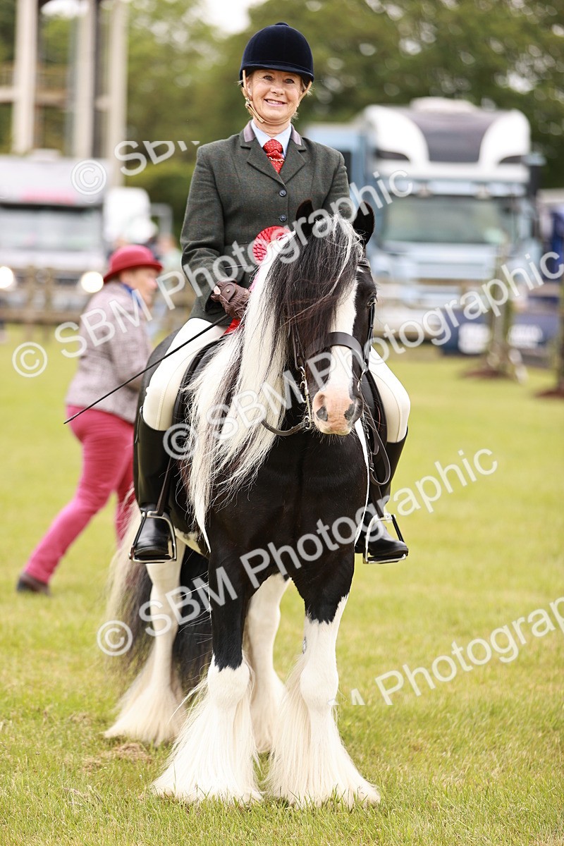 SBM_06240 - Class 39-41 TGCA In Hand and Ridden