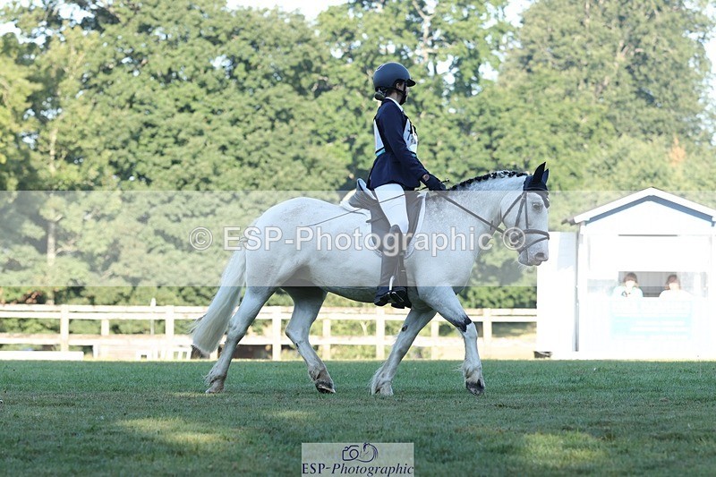 250823A-083519-25732 - Arena D