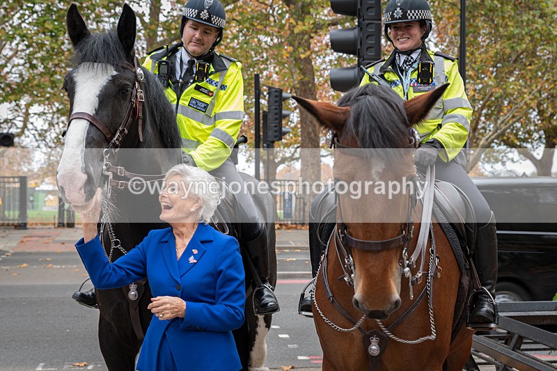 Z62_4518 - Animals In War Memorial 2025 - Park Lane, London