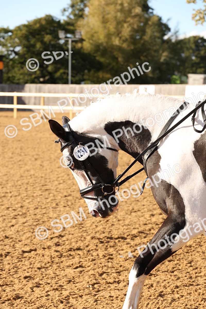 SBM_11627 - D9 - Small Tour Championship Prelim 3