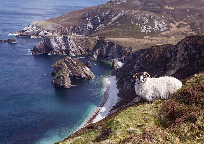 The View Over Glenlough Bay - Ireland by Day