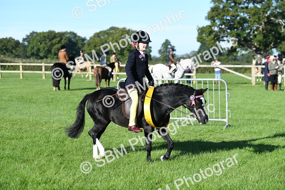 SBM_34135 - S16 - Condition & Turnout - Ridden