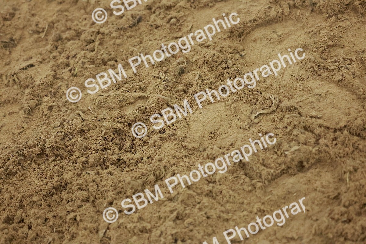 SBM_004964 - Class 6 - Chase Me Charlie