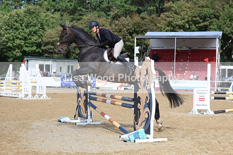 3E7A9140 - Class 9: Senior British Novice/90cm open