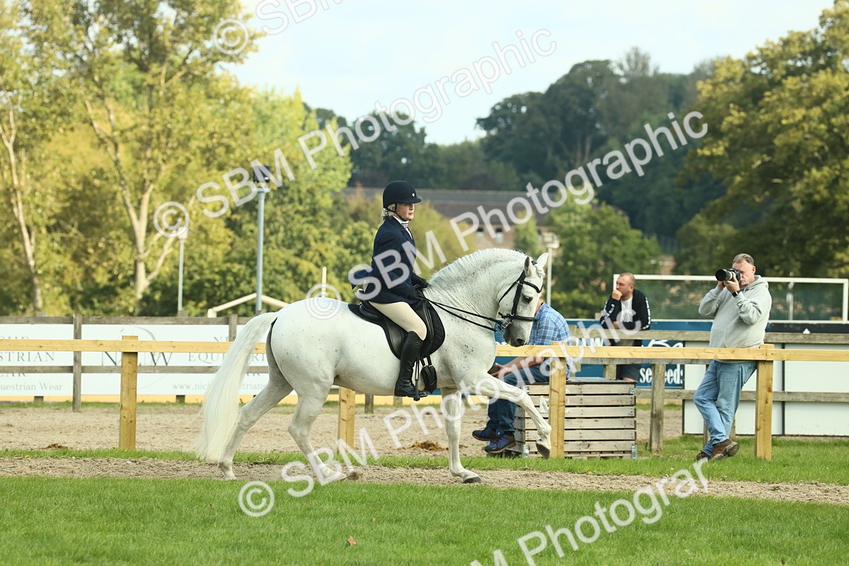 SBM_62440 - S62 - Foreign Breeds Ridden