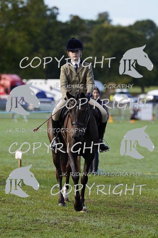 _DSC9291 - Class 8 & 17 Ridden Hunter & Ridden Hunter Pony