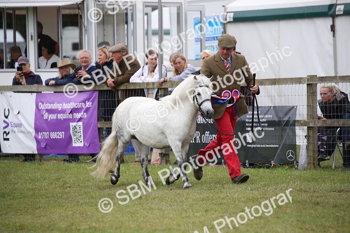 SBM_09751 - Ch 50 - Price Family Supreme In Hand