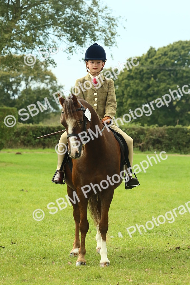 SBM_69996 - S59 - Mountain & Moorland Ridden Small Breeds