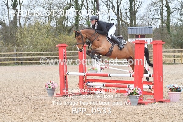 BPP_0533 - CLASS 3  Club/ Unaffiliated 90cms Open