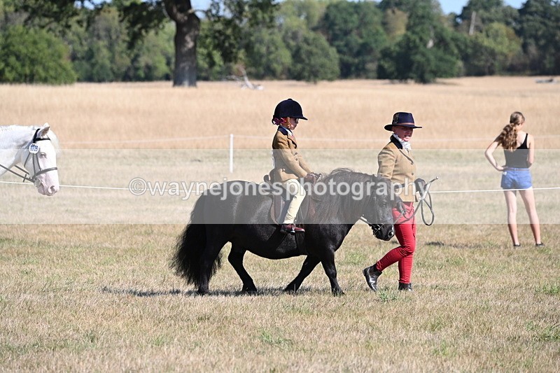 WJ6_7393 - Class 34 Judges Choice