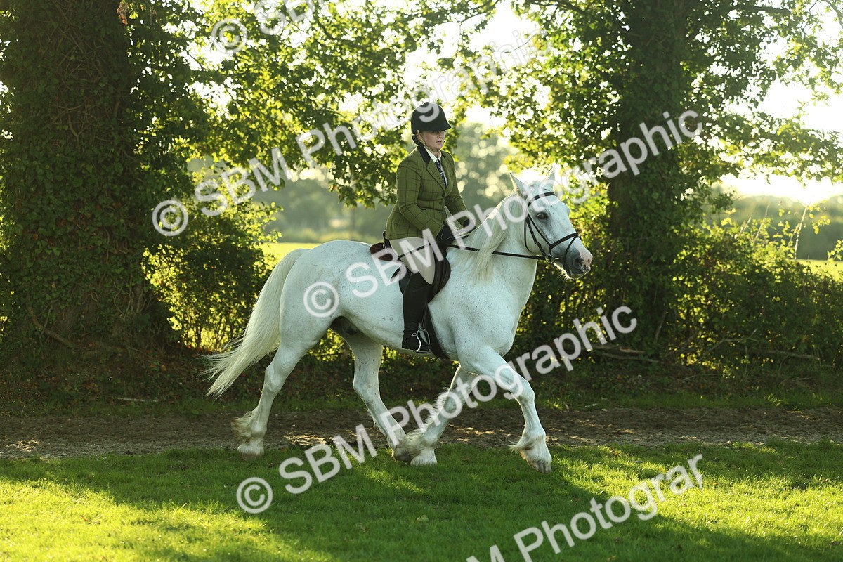 SBM_55624 - S14 - Riding Club Horse