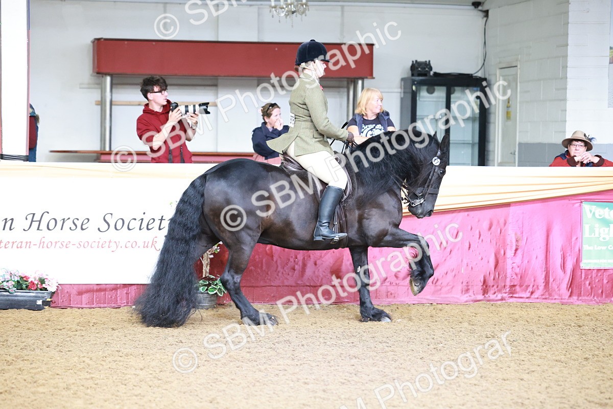 SBM_11824 - Class 102 - Equitation (Best Rider) Adult
