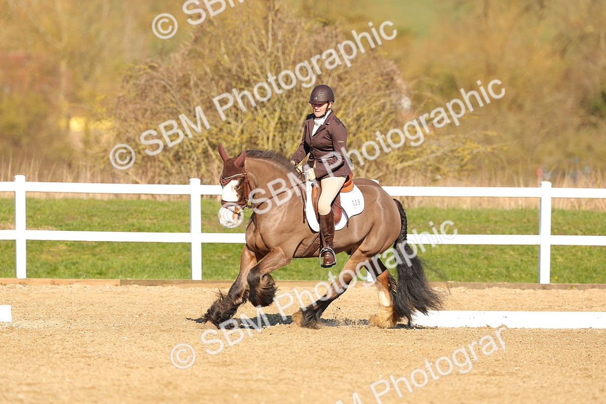 SBM_003485 - Class 4 - N1-80cm