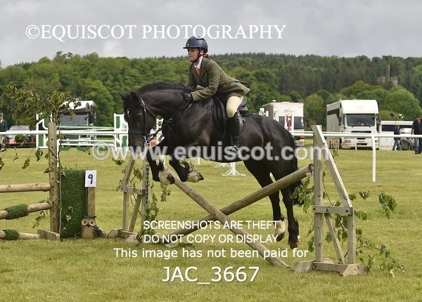 JAC_3667 - 75CM WORKING HUNTER