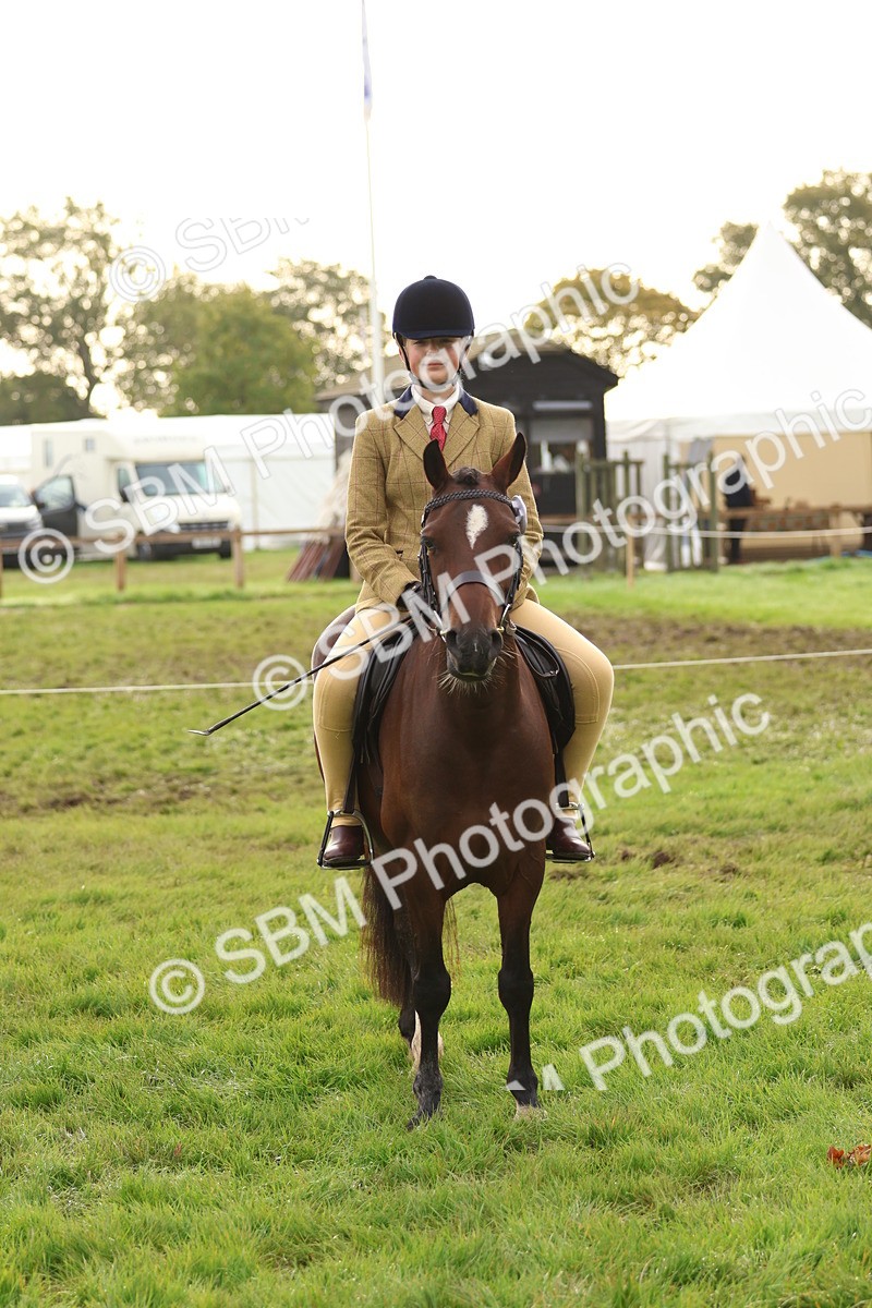 SBM_56658 - S40 - Starters Ridden Showing