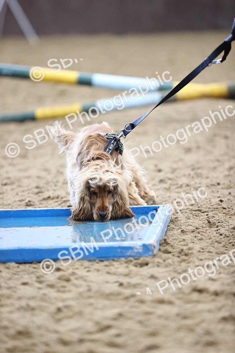 SBM_001414 - Class 3 - Horse & Hound 60cm