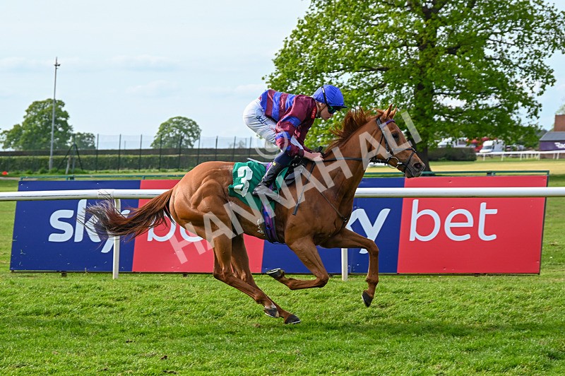 020526-Race 7-Rising Force-0270 - Race 7 5.00pm Sky Bet Irish Day Saturday 16th May Book Now Handicap