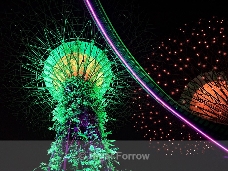 Supertree & Skyway illuminated from below, Gardens by the Bay - Singapore