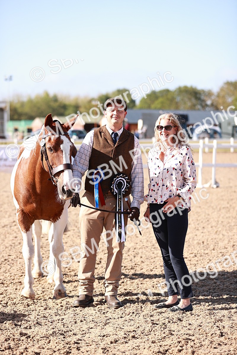 SBM_22090 - Class 703 - IH Coloured