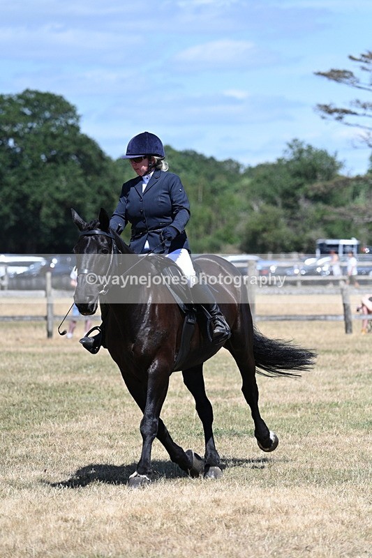 WJ7_2955 - Class 7 Riding Club Show Horse