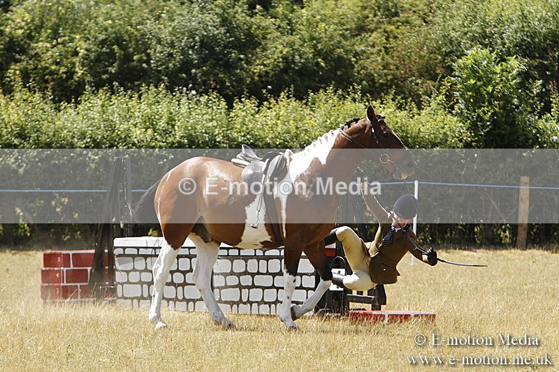 _BS_0901 - BVRC Show 2018 Ring 3