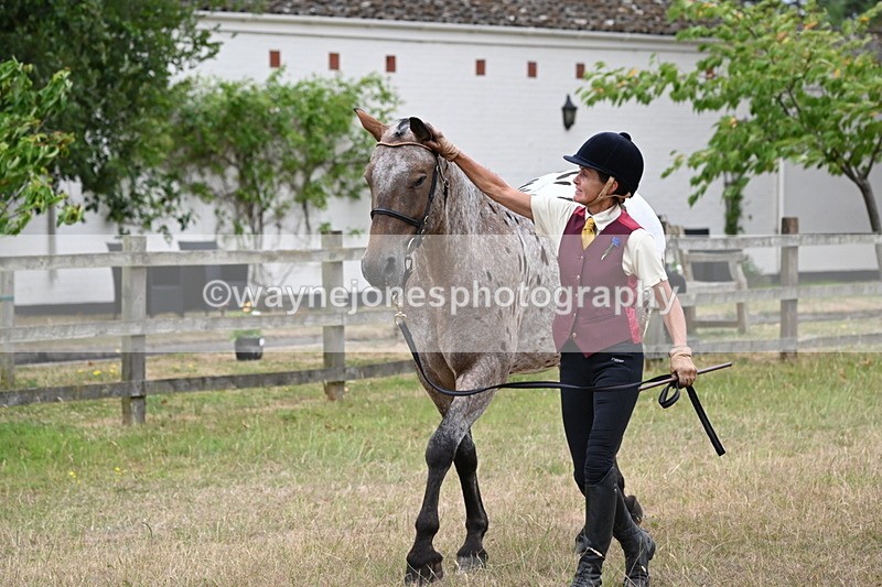 WJ6_8001 - Class 10 Coloured in Hand