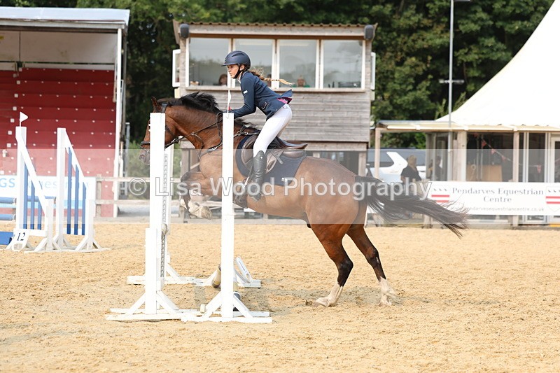 3E7A3023 - Class 13: Pony British Novice/80cm open