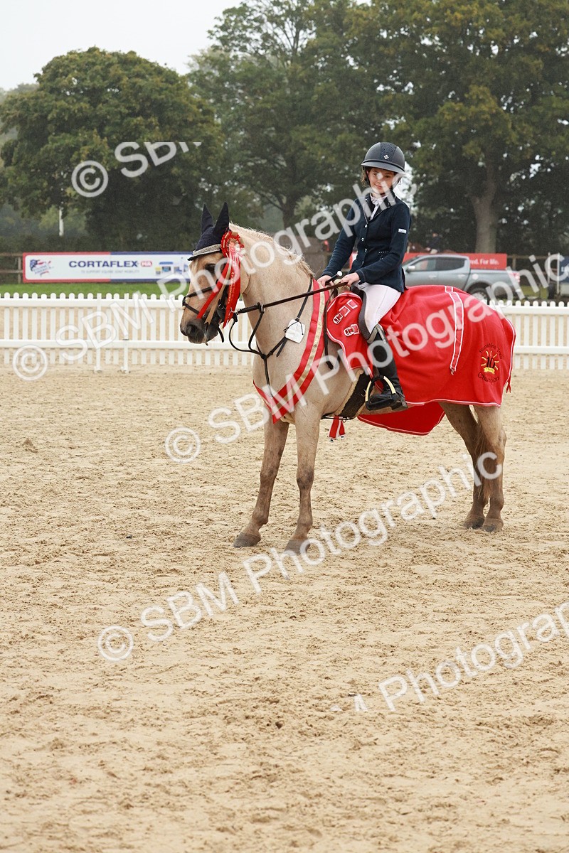 SBM_73516 - Supreme Championship Junior Pony 60cm & 65cm