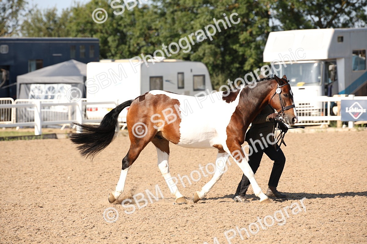 SBM_01470 - Class 15 IH Coloured