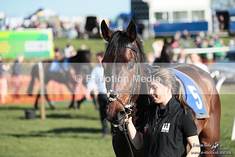 PtP 210326 896 - VWH Cirencester Races 21/03/26