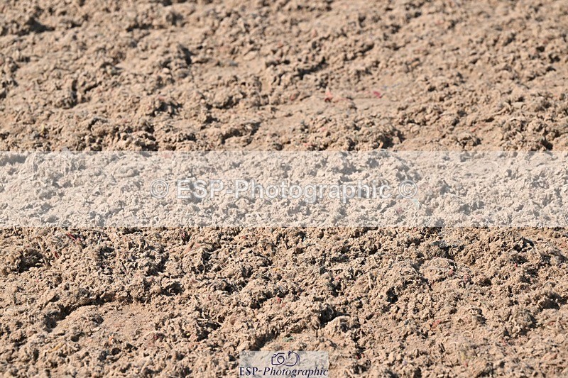 250404-142202-06595 - Cls 12 CoH Ind Presentations