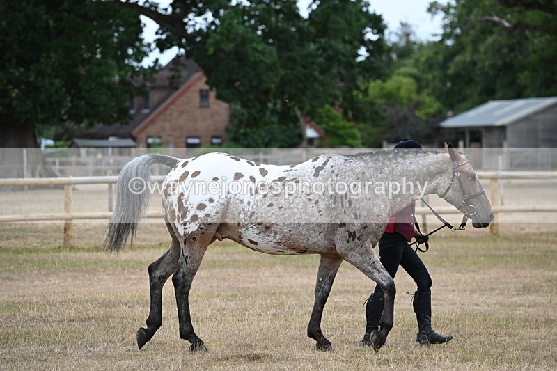 WJ6_7818 - Class 10 Coloured in Hand