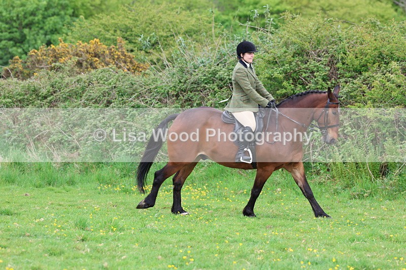 3E7A1442 - Class 8: Ridden Veteran Junoir and Senior