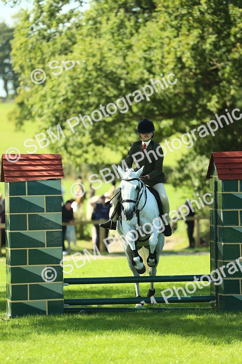 SBM_39137 - S29 - Novice & Newcomers Working Hunter Pony