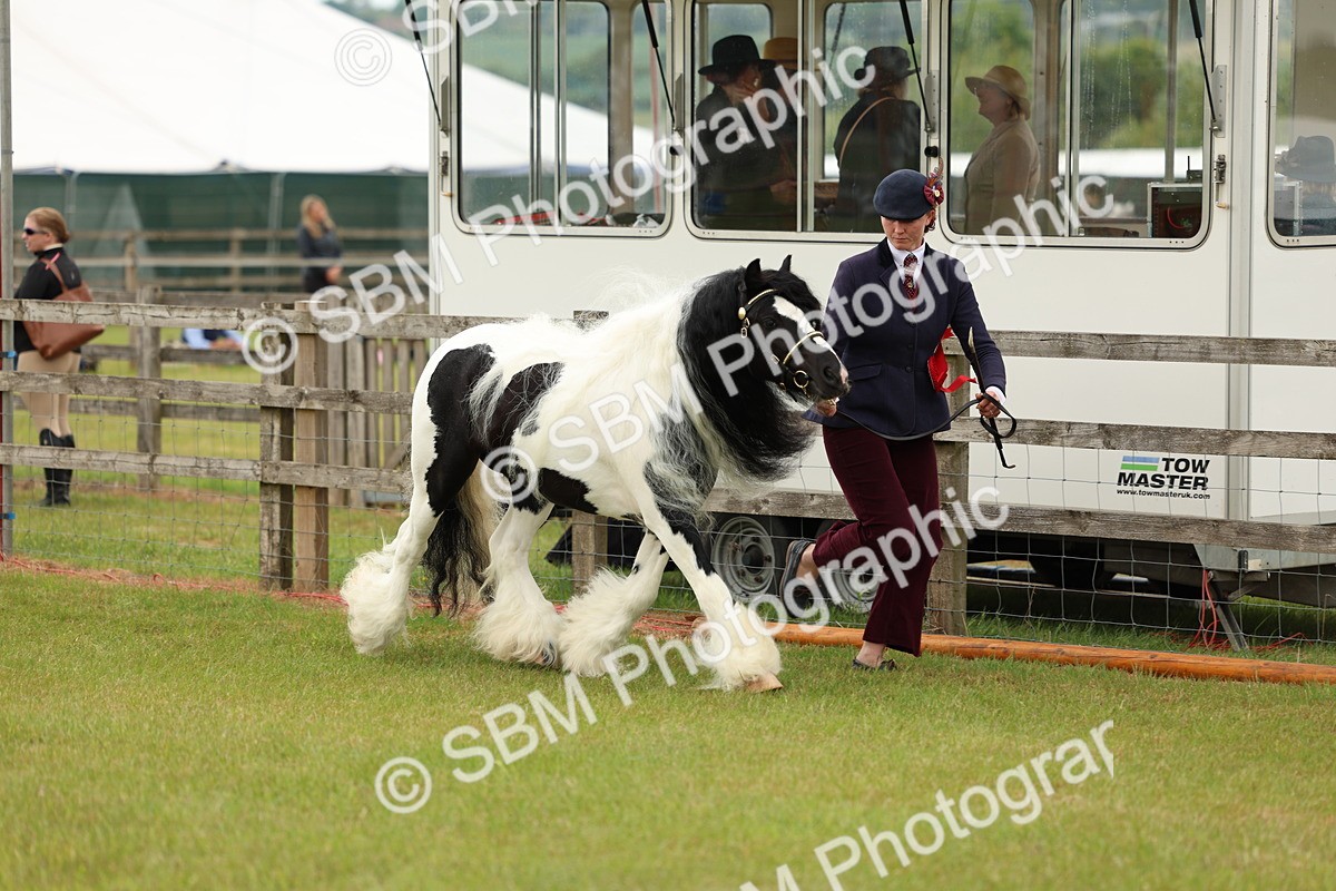 SBM_06268 - Class 39-41 TGCA In Hand and Ridden