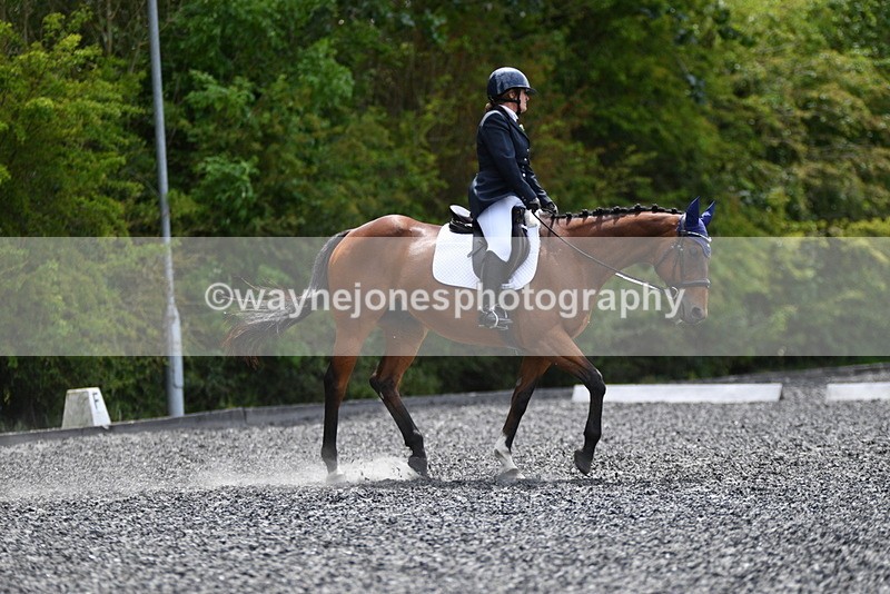 WJ5_0783 - Time 13:04 to 13:42