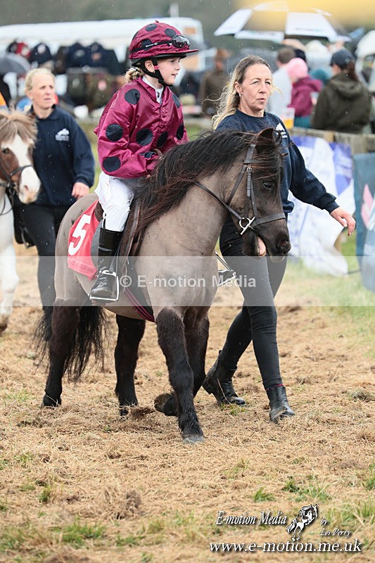 SHETPR 210425 69 - Shetland Ponies Paxford Races 21/04/25