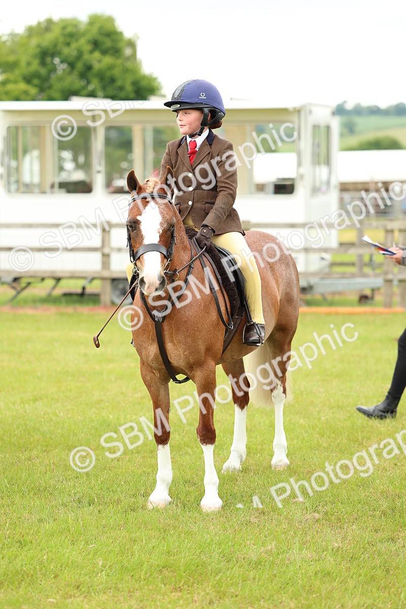 SBM_10388 - Class 44-45 - LIHS BSPS Open Nursery and Cradle Stakes