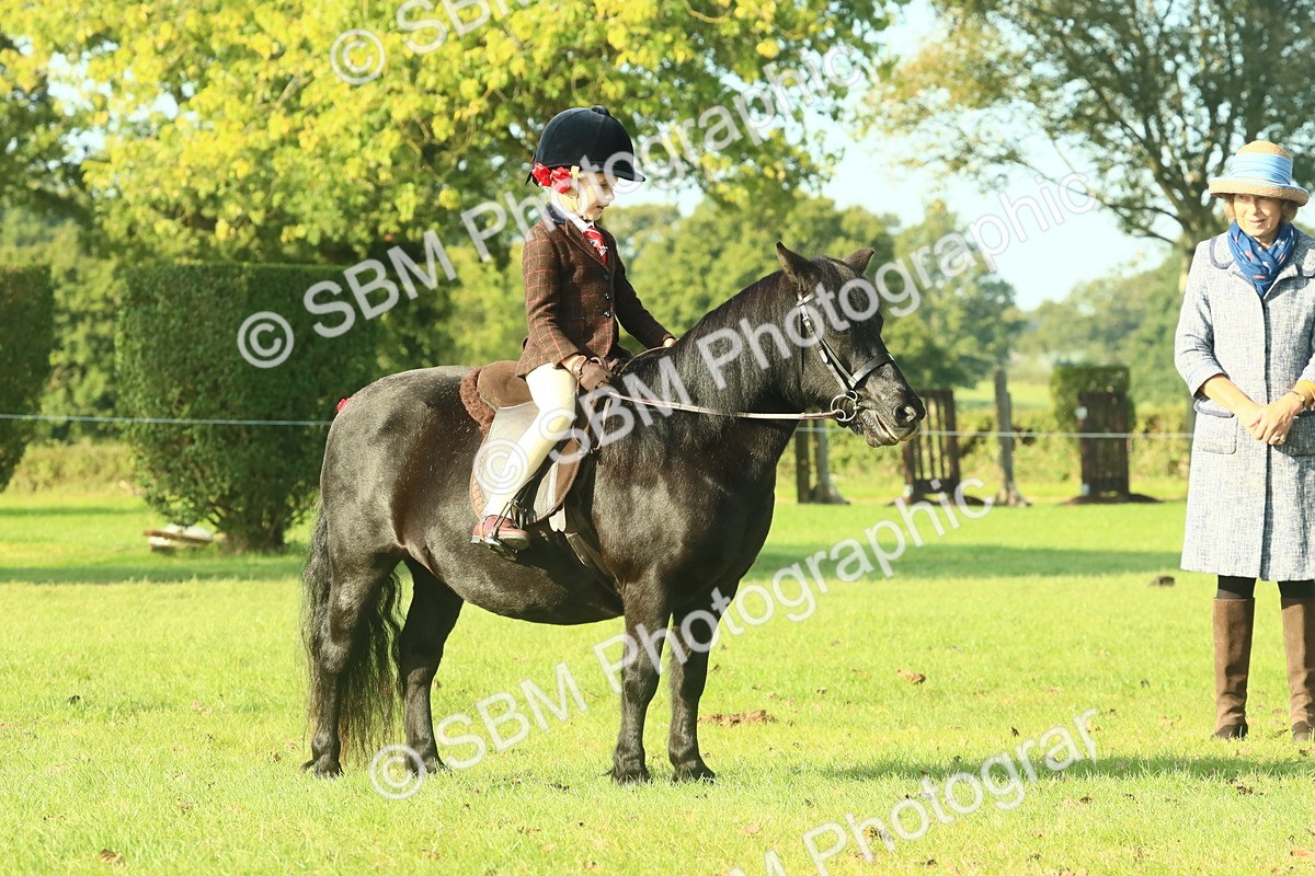 SBM_59195 - S38 - Starters Ridden Showing