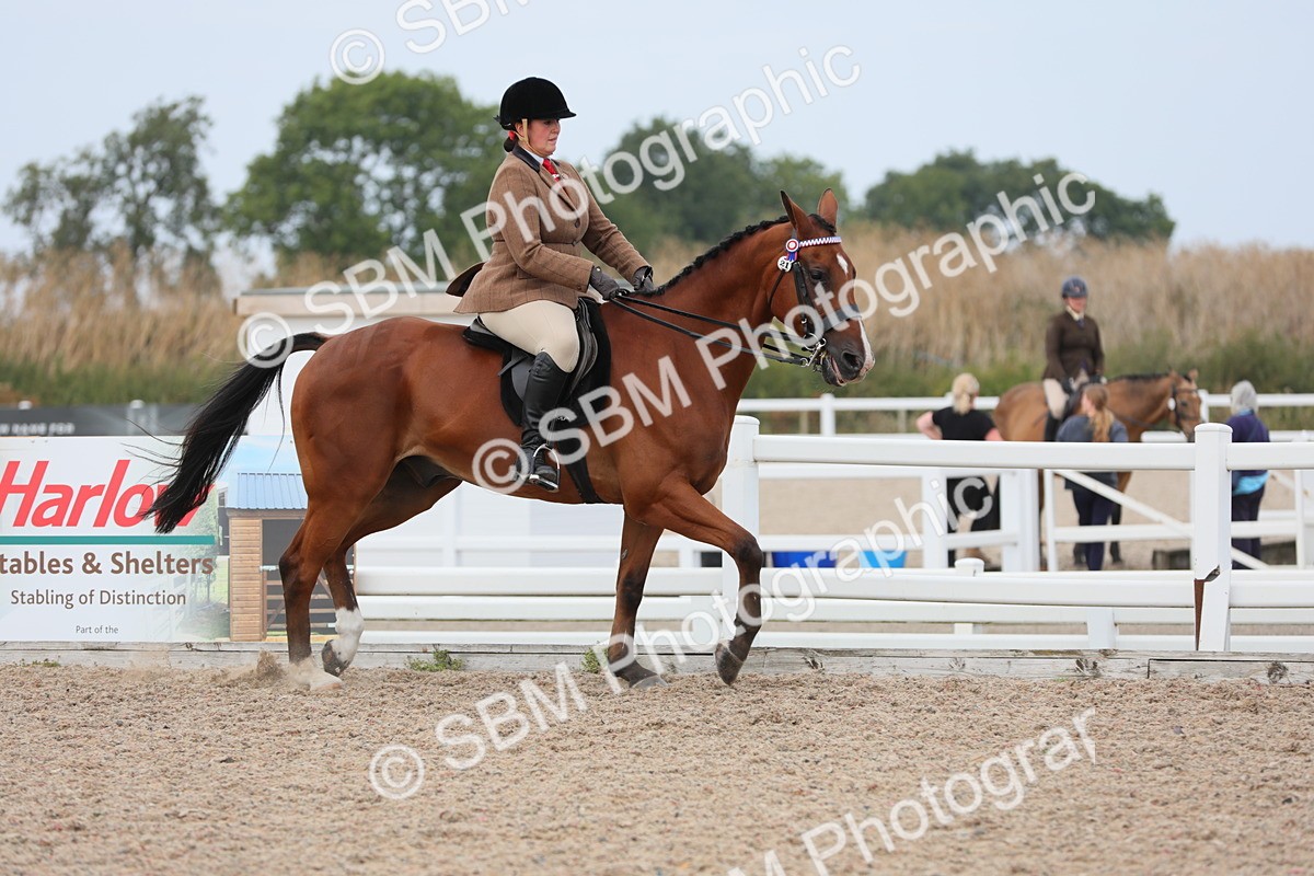 SBM_16868 - Class 314 Family Horse/Pony