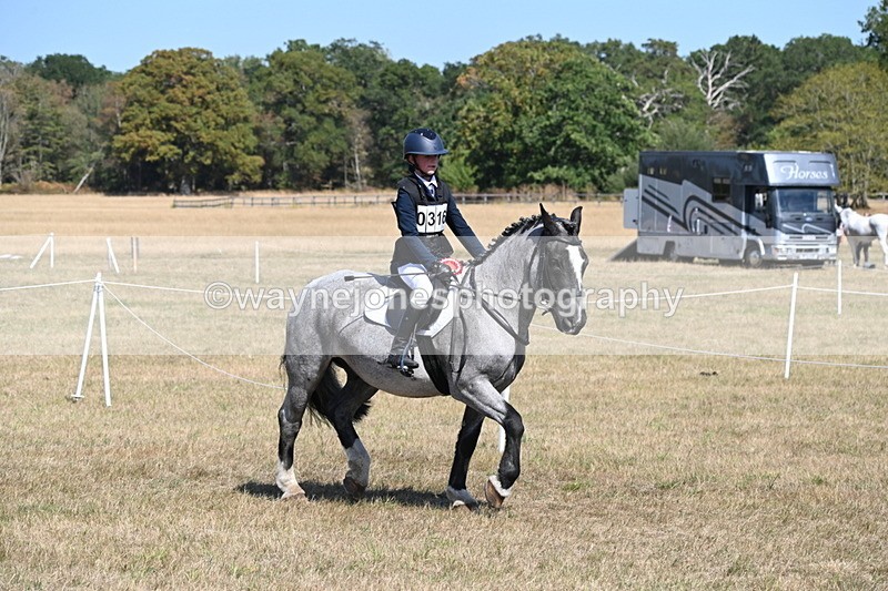WJ6_9189 - Championship Classes 33-38