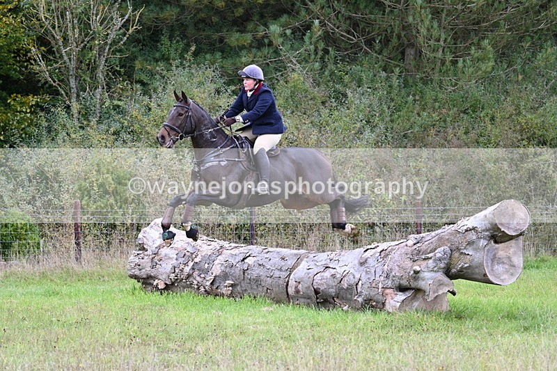 WJ7_3745 - Camera 1 Line 1