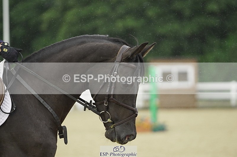 230729A-095544-04474 - Cls 20 British Novice & 90cm Open