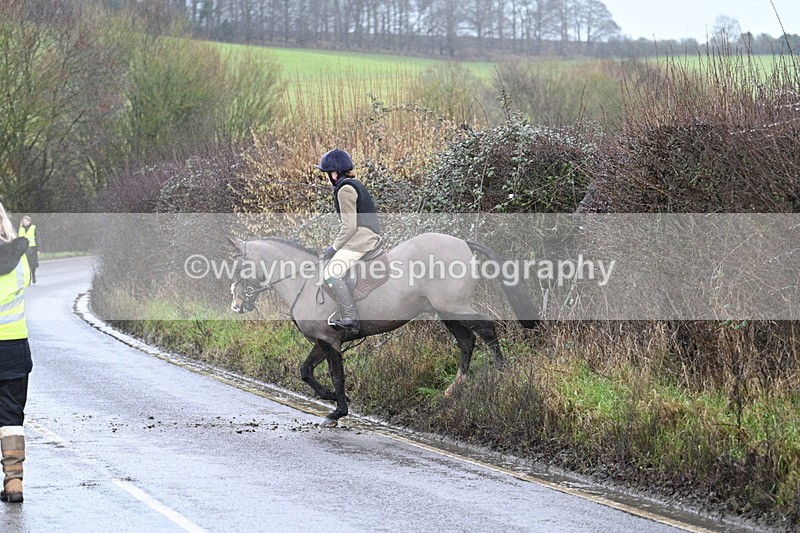 WJ7_7072 - Crossing A Camera