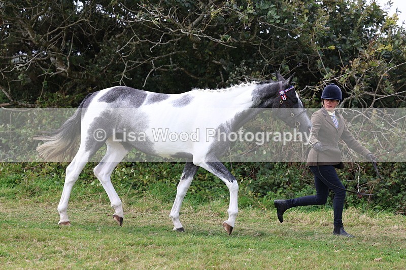 3E7A5363 - Class 19: Best Coloured in Hand