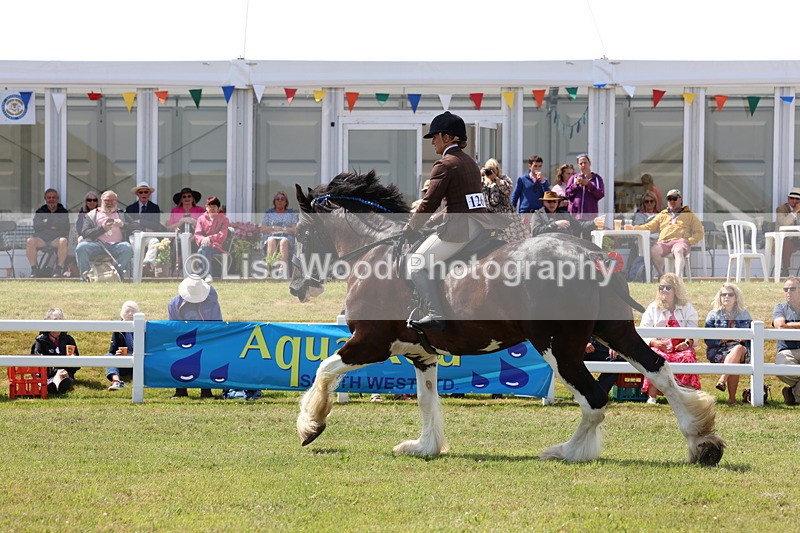 3E7A2888 - Class 13: Heavy Horse Ridden