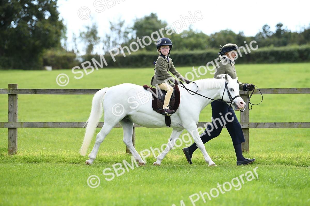 SBM_42472 - S20 - Lead Rein Mountain & Moorland Pony