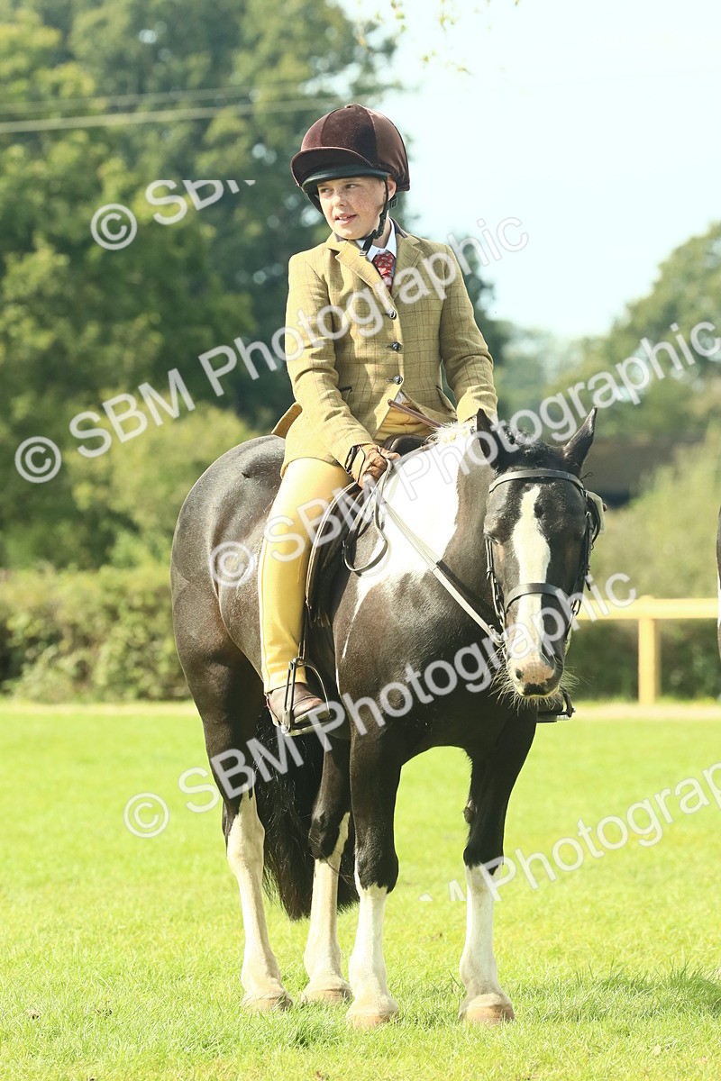 SBM_68933 - S58 - Mini Show Cob Ridden