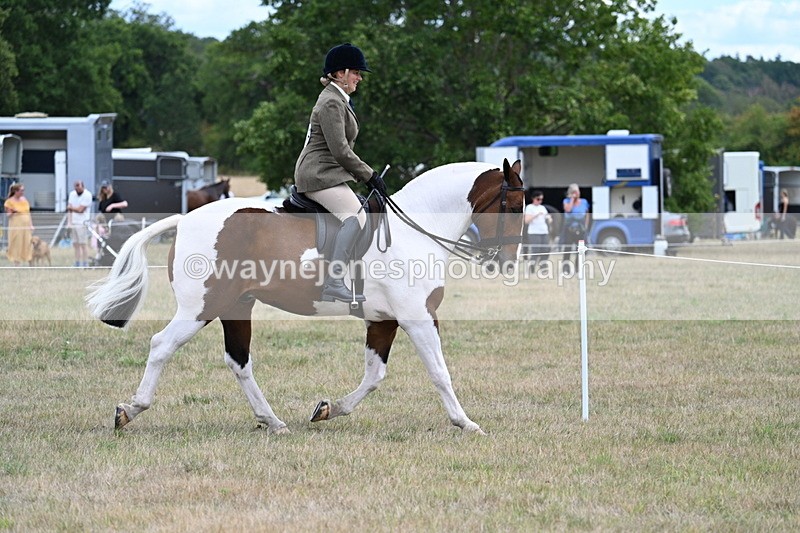 WJ7_4885 - Class 12 Ridden Cob